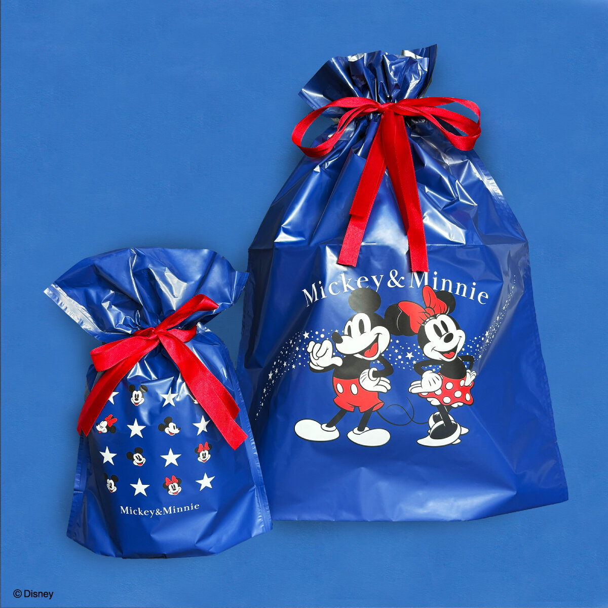 기프트 가방.jpg